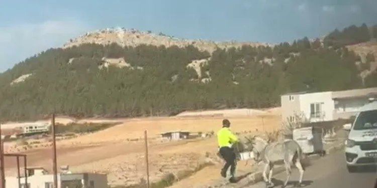 Mardin’de çalınan motosiklet İdil’de bulundu