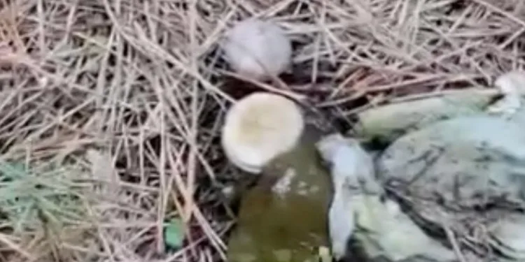 Silahlı kavga olayının 8 şüphelisi tutuklandı