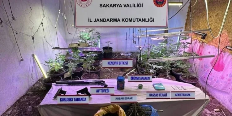 Telefonda başlayan küfürleşme cinayetle bitti