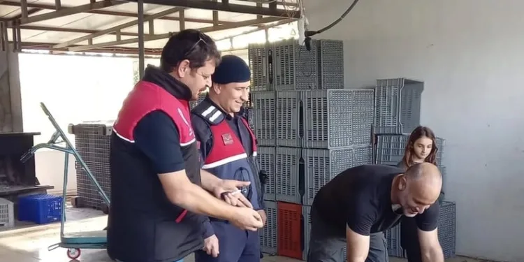 Kamyona yandan çarpan aracın 70 yaşındaki sürücüsü hayatını kaybetti