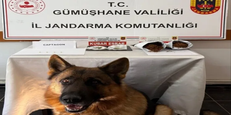 Karaman’da pikap kamyonetle otomobil çarpıştı: 1 yaralı