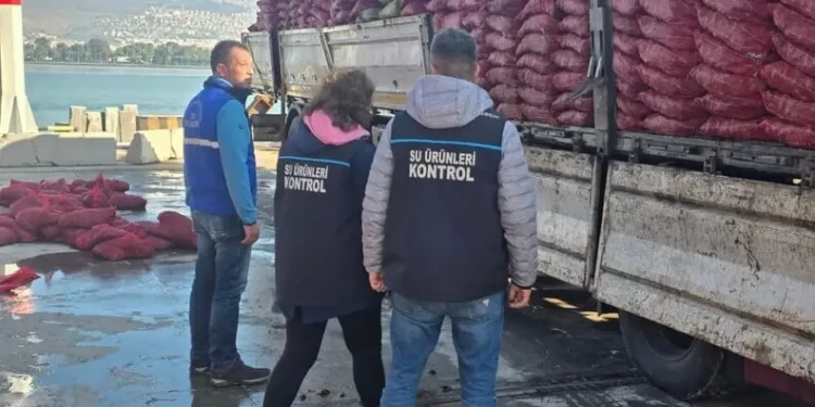 Karaman’da pikap kamyonetle otomobil çarpıştı: 1 yaralı