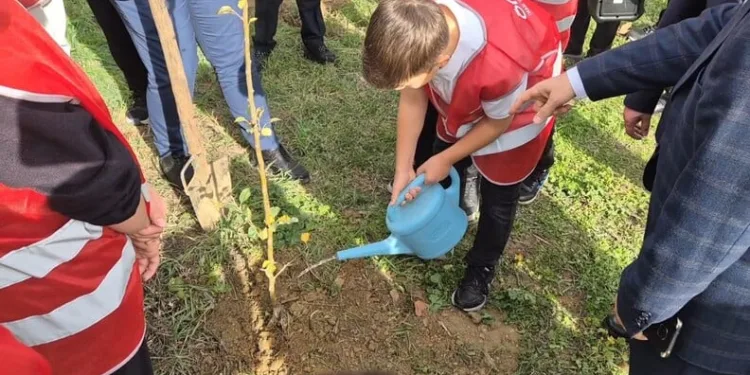 Başakşehir’de tehlikeli motosiklet gösterisi yapan sürücü yakalandı
