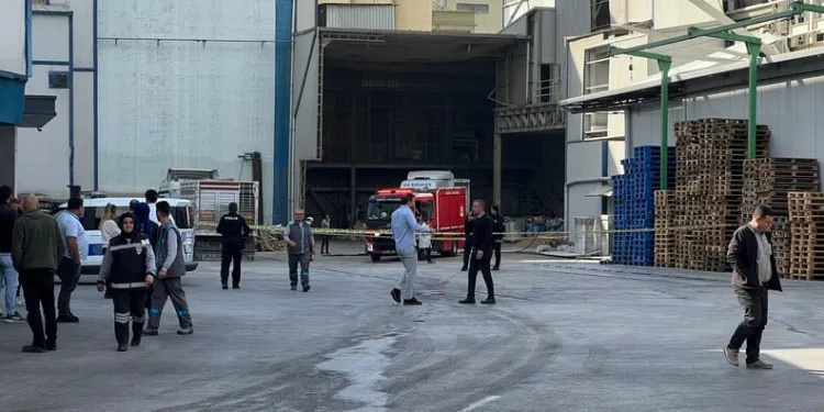 Bolu’da su kesintisine yol açan alt yapı sorunu düzeltiliyor