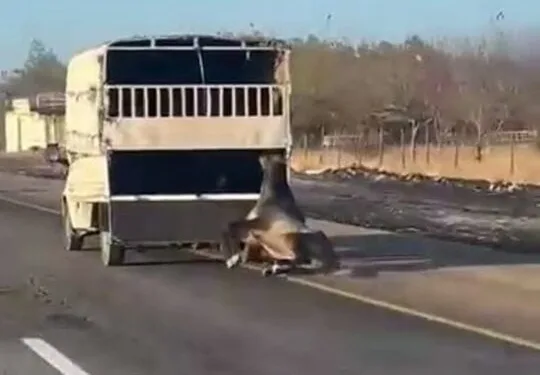 Bolu’da su kesintisine yol açan alt yapı sorunu düzeltiliyor