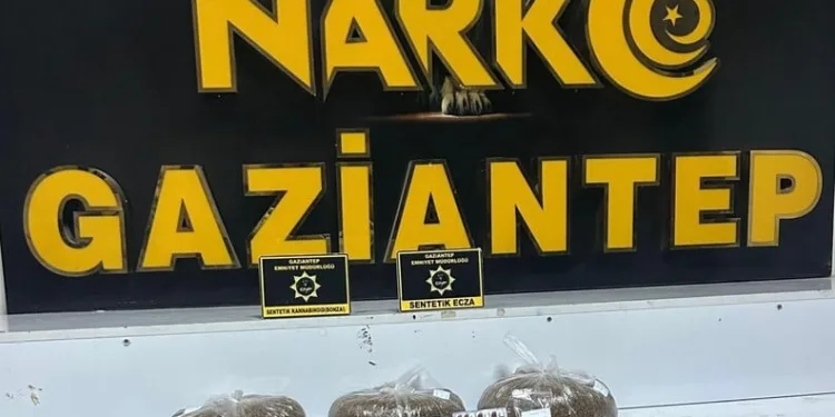 Jandarmadan aranan şahıslara yönelik operasyon