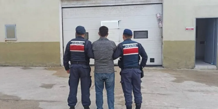 Jandarmadan aranan şahıslara yönelik operasyon