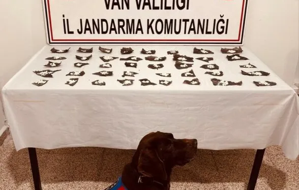 Jandarmadan aranan şahıslara yönelik operasyon