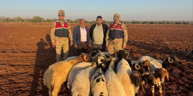 Kayseri’de iki otomobil çarpıştı: 1’i ağır 3 yaralı