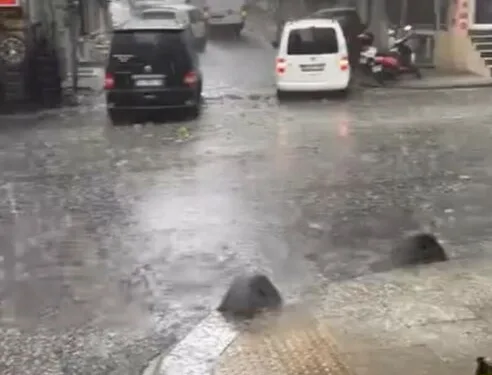 Tavuk çiftliğinin depo kısmında yangın