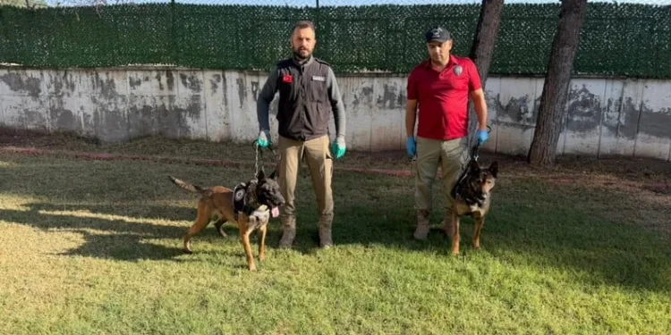 Erzincan’da okul servislerine kış lastiği denetimi yapıldı
