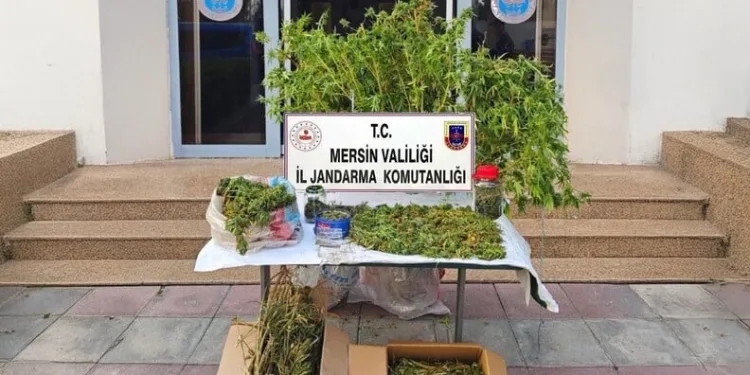 İzinsiz inşaat yaptırdığı iddiasıyla 5 yıla kadar hapsi talep edilen CZN Burak’a beraat