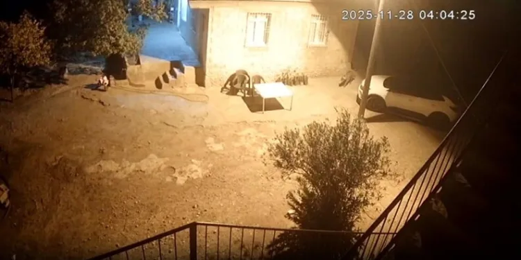 Bayburt’ta inşaattan düşen işçi yaralandı