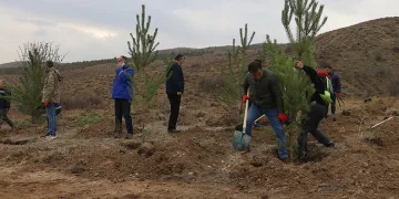 Sivas’ta 58 bin fidan toprakla buluşturuldu