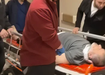 Bursa’da ağaca çıkmak isterken düşen adam ağır yaralandı