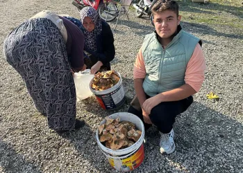 Okul harçlığını “kanlıca”dan çıkarıyor