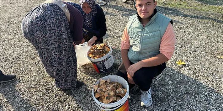 Okul harçlığını “kanlıca”dan çıkarıyor