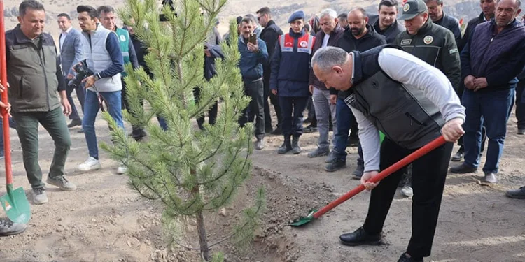 Nevşehir’de 18 bin 500 fidan toprakla buluştu