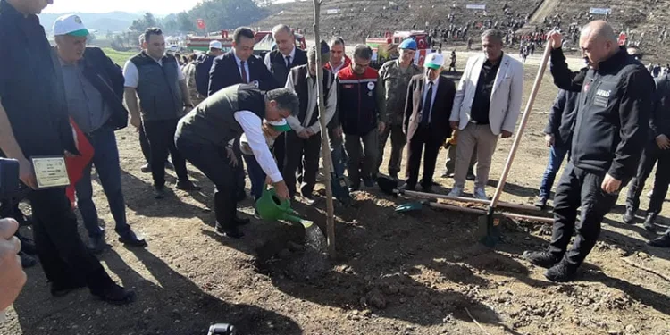 Bolu’da yanan orman yeniden yeşeriyor