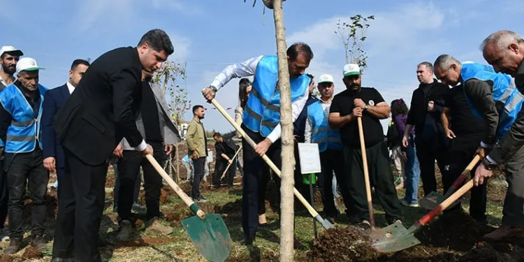 Siverek’te fidanlar geleceğe nefes olacak
