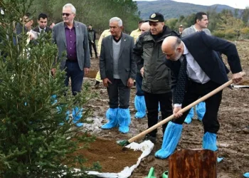 Şehit Savcı Mehmet Selim Kiraz anısına hatıra ormanı kuruldu
