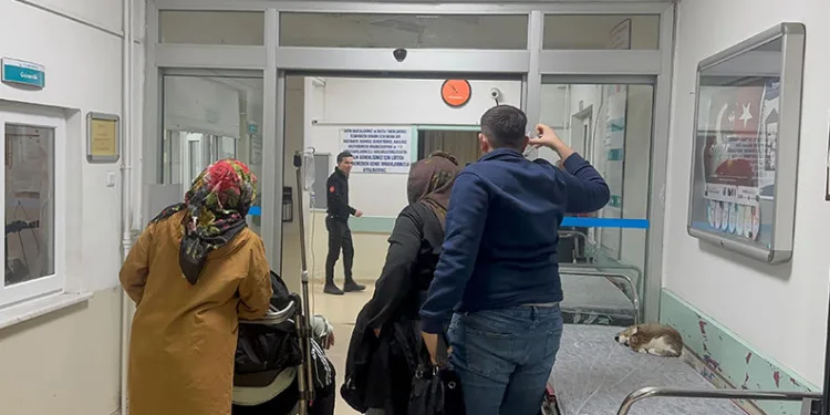 Düğün yemeği 8 kişiyi hastanelik etti