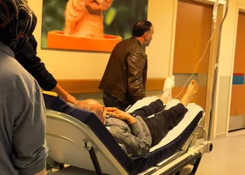 Bursa’da odun kesmek isterken, ayağını kesti
