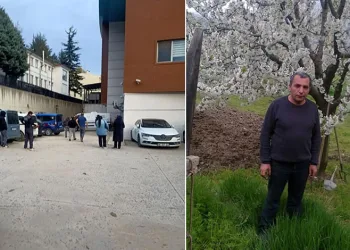 Bursa’da budadığı ağaçtan düşen adam hayatını kaybetti