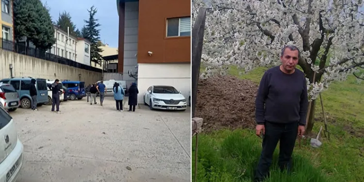 Bursa’da budadığı ağaçtan düşen adam hayatını kaybetti