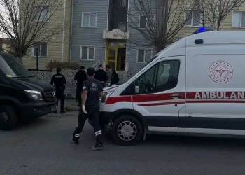 Patates kızartması zehirledi! Anne ve çocukları hastaneye kaldırıldı