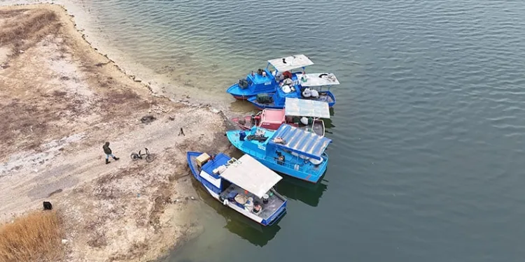 Denizi olmayan Malatya’da balık ihracatı