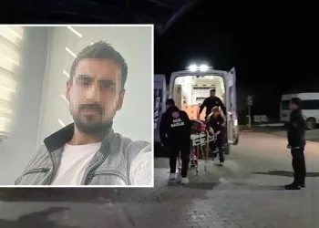 Gemlik’te zeytinlikte bıçaklı saldırı: 1 ağır yaralı