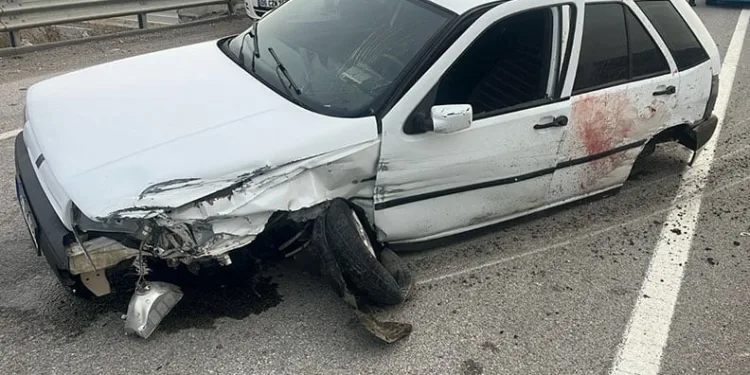 Yoldan çıkan otomobilin sürücüsü hayatını kaybetti
