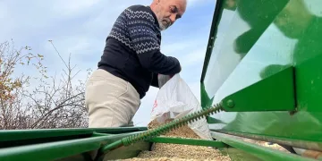 Çiftçilerin ekim mesaisi başladı