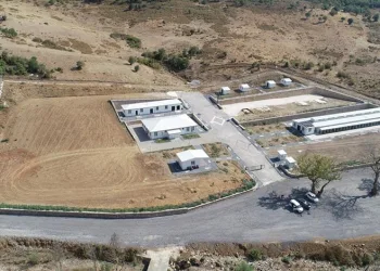 Orhangazi Belediyesi’nden Sokak Hayvanlarına Yönelik Çalışmalar Sürüyor
