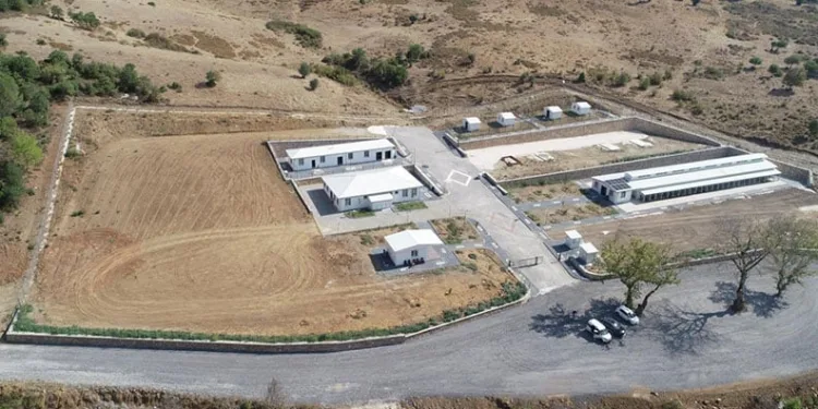 Orhangazi Belediyesi’nden Sokak Hayvanlarına Yönelik Çalışmalar Sürüyor