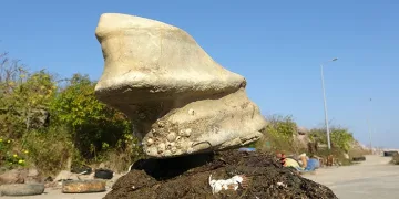 Giresun’un Bulancak ilçesinde denizde bulunan cisim balıkçıları şaşırttı