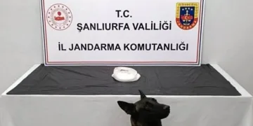 Şanlıurfa’da uyuşturucu operasyonu: 2 gözaltı