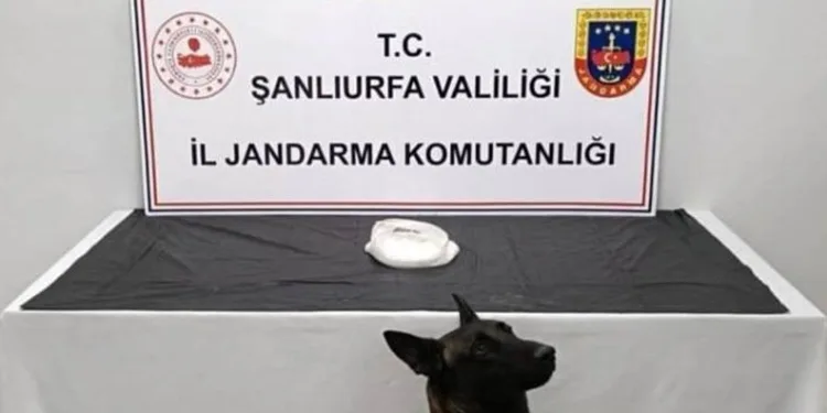 Şanlıurfa’da uyuşturucu operasyonu: 2 gözaltı