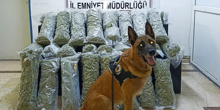 Burdur’da 36 kilo uyuşturucu ele geçirildi