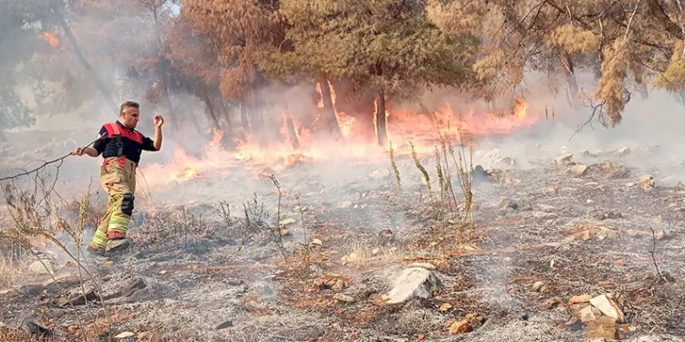 Antakya’da orman yangını