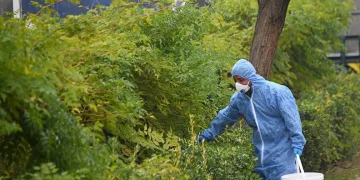 Osmangazi’de kemirgenlere karşı ilaçlama çalışması başlatıldı