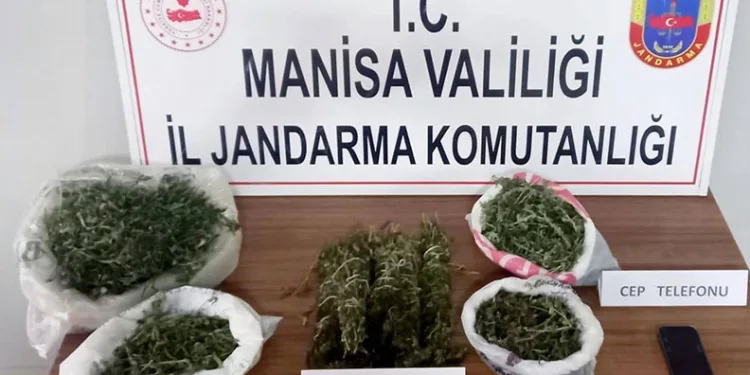 Manisa jandarmasından uyuşturucu operasyonu