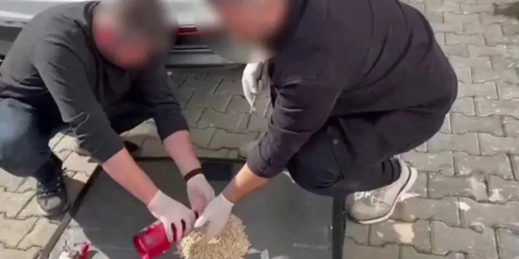 Gemlik’te uyuşturucu operasyonu