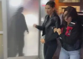 Şeyma Subaşı serbest bırakıldı