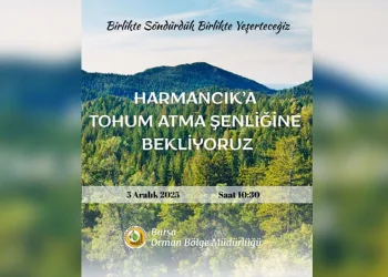 Harmancık’ta yanan ormanlara tohumlar serpiliyor