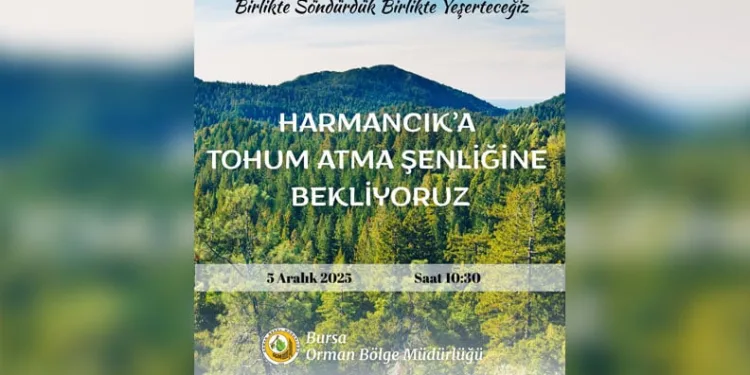 Harmancık’ta yanan ormanlara tohumlar serpiliyor