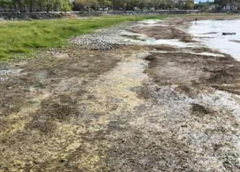 İznik Gölü kuruyor: Cargill yer altı sularını çekiyor iddiası!