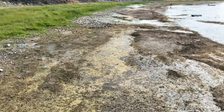 İznik Gölü kuruyor: Cargill yer altı sularını çekiyor iddiası!