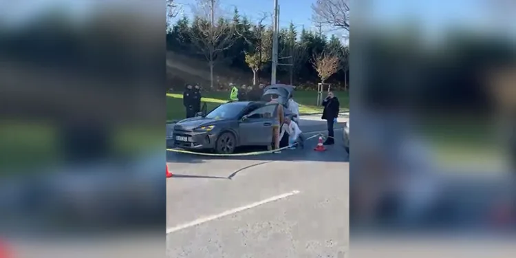 Erzincan’da yaban keçisini vuran 3 kişiye 975 bin TL ceza